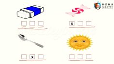 Ş – ş SESİNİ ÖĞRENELİM