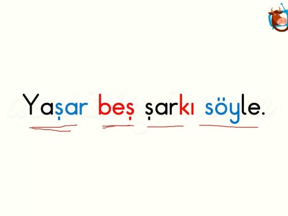 Ş SESİ OKUMA METNİ
