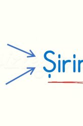 Ş SESİNİ BİRLEŞTİRELİM