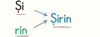 Ş SESİNİ BİRLEŞTİRELİM