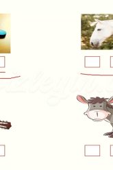 T – t SESİNİ ÖĞRENELİM