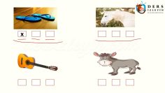 T –  t SESİNİ ÖĞRENELİM