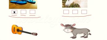 T –  t SESİNİ ÖĞRENELİM