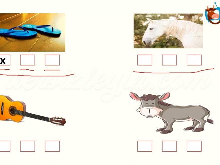 T –  t SESİNİ ÖĞRENELİM