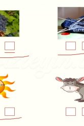 Ü – ü SESİNİ ÖĞRENELİM