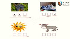 Ü – ü SESİNİ ÖĞRENELİM