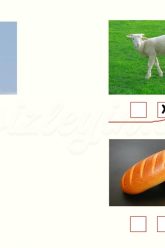 U – u SESİNİ ÖĞRENELİM