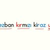 Z SESİ OKUMA METNİ